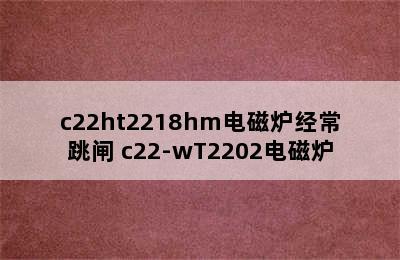 c22ht2218hm电磁炉经常跳闸 c22-wT2202电磁炉